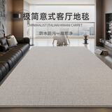 兴连心客厅地毯2025新款意式极简防水免打理可擦地垫沙发毯 300*400cm