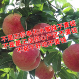 浙奉桃【现货】正宗浙江宁波奉化特产水果水蜜桃软桃桃园现摘原产地现发 【送礼】12只精品（3.8-4.5两）