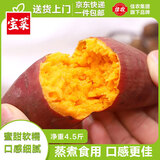 佳农宝菜山东西瓜红蜜薯建议蒸煮食用单果约80g+净重4.5斤源头直发