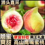 山姆伯伯 鹰嘴桃蜜桃子礼盒装【闪送】桃新鲜水果礼盒送礼父亲节 净重5斤【巨划算-80%人选择】 手挑甄选特级果｜爆甜 单果100g+