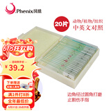 凤凰（Phenix）显微镜标本切片载玻片盖玻片套装动物植物细胞昆虫标本儿童实验 25片装