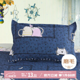 艾薇 枕头套水洗棉学生儿童枕套单人枕芯套枕套一个 猫宠宝贝 48*74cm