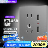 国际电工USB插座面板带开关五孔插座家用手机快充闪充type-c暗装快充86型 五孔双USB【灰色】