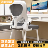 汤能优品电脑椅人体工学椅弓形办公椅家用书房学习写字椅靠背久坐舒适椅子 【护腰撑脊】弓形-白框灰网