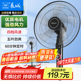 长城（CHANGCHENG）电风扇落地扇18吋五叶风扇摇头商务电扇居家办公立式风扇大功率大风量工业扇交流定频风扇FS-45