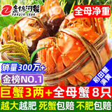 【活蟹】网兜蟹辽宁盘锦河蟹稻田河蟹礼盒螃蟹鲜活大闸蟹无绳净重 全母蟹丨3.0-3.3两【8只】镇店之宝