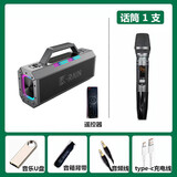 ROBERILLINE德国品牌高端新款户外K歌音响 大功率广场舞重低音炮乐器演奏音箱蓝牙无线长续航便携移动户外专用 柏林之音【单话筒】