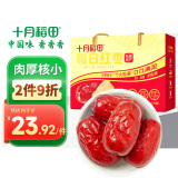 十月稻田 每日红枣礼盒 500g 1斤 和田产大枣 骏枣 新疆特产 干果零食 