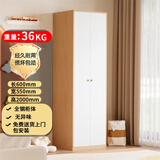 富路达现代简约家用金属钢制卧室收纳小户型组合铁衣柜B款0.6米二门衣柜