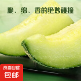 果香浓郁正宗新鲜海南玫珑蜜瓜当季新鲜水果坏果包赔玫珑蜜瓜 超值3-4斤（1-2颗装）