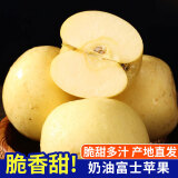 琪江果山东烟台奶油富士苹果 栖霞黄苹果当季新鲜水果整箱 奶油苹果3斤7-9个