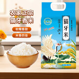 当季产地正宗优质猫牙米煲仔饭炒饭专用米新籼米长粒香软大米 猫牙米5kg*1