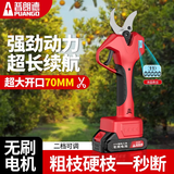 普朗德（PUANGD）电动剪刀剪树枝强力修枝剪果树园林剪大功率家用剪枝机锂电园艺剪