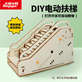 大眼小娃自动扶梯steam科学小实验套装儿童DIY手工制作玩具男女孩开学礼物