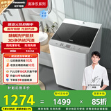 松下（Panasonic）【吴磊推荐】波轮洗衣机全自动10公斤大容量 抗菌除螨柔洗桶洗净 内衣洗衣机国家补贴XQB100-T1721
