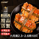 【活蟹】漁家师傅大闸蟹2.3-2.6两10只去绳足重鲜活螃蟹六月黄现货生鲜礼盒源头直发