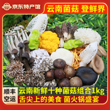 玉燕妃云南新鲜金耳黑松露竹荪鹿茸菇组合 竹荪蛋 见手青羊肚菌火锅食材 10菌组合1kg