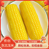 佟创东北黄糯玉米棒 新鲜甜糯玉米棒 代餐轻食真空包装黏粘玉米 黄糯玉米200g*10
