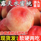 甜萌果蔬新鲜水蜜桃 当季现摘红不软水蜜桃子脆甜毛桃河南水果整箱送礼 精选果【单果约60g+】 净重4.5-5斤装【苣划算】