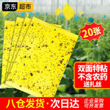 楚婕雅双面粘虫板黄板诱虫板灭苍蝇贴果蝇纸灭蚊黏虫小飞虫诱捕神器20张