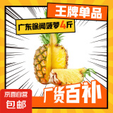 广东湛江徐闻菠萝 香水菠萝 热带水果 2个 带箱约4斤（净重3-3.5斤）