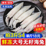 一虾一世界满籽海兔 鲜冻带籽笔管鱼籽乌海兔子 小鱿鱼乌贼火锅烧烤食材 鲜冻公体 500g(净重)  【无籽】
