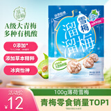 溜溜梅薄荷雪梅 孕妇儿童休闲零食小包装零食即食果干100g/袋