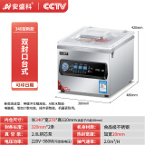 安盛科真空包装机商用真空机塑封机真空压缩封口机大吸力家用抽真空全自动干湿两用 340台式款单铜芯泵-干湿油粉