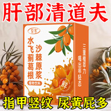 【养成少年肝】水飞蓟沙棘葛根饮熬夜养生原浆养护老月干冲饮果汁 1盒装