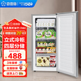 香雪海 立式冰柜家用小冰柜单温小冷柜冷冻迷你商用 小型节能省电储母乳冷柜冰箱 【不锈钢内胆天际灰】立式冷冻柜 65L