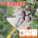 EVANLEY摘果神器伸缩杆摘柿子杨梅李子杏子荔枝摘果芒器高空采摘水果工具 【不锈钢】3米伸缩摘果器