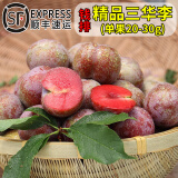 卡布诺广东茂名三华李信宜钱排新鲜李子银妃红心李酸脆孕妇水果生鲜顺丰 精选装净重2斤（单果20-30g）