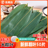 农相忘 野生大号粽子叶50片装送粽子绳真空保鲜新鲜箬叶 端午节包粽子叶