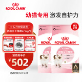 皇家（ROYAL CANIN）猫粮 幼猫猫粮 幼猫奶糕 K36 通用粮 4-12月 4.5KG*2
