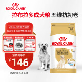 皇家狗粮 拉布拉多老年犬狗粮 宠物大型犬 SLR30 全价犬粮≥5岁 3KG