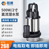 臣源直流潜水泵48-60v高扬程12V24V72V电瓶车抽水泵家用农用抽水机 【48V60V72V】500W2寸+7米线