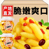 枸杞泡姜芽新鲜嫩姜芽酸甜腌制泡菜下饭菜仔姜糖醋生姜姜片 红枣枸杞嫩芽姜508g*5罐