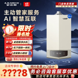 史密斯（A.O.SMITH）燃气壁挂炉【门店爆款】LL1GBQ-E10 天然气家用采暖热水两用壁挂炉 一级能效冷凝锅炉 （定金） 33KW 181-250㎡ 33-E10Ai 务必咨询客服享优惠