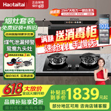 Haotaitai油烟机【明星同款】家用顶侧双吸好油烟机厨房抽油抽烟机脱排油烟机免拆自清洗一级能效油烟机 【明星款+鸳鸯灶】H95BP变频+2199天然气 旗舰机顶侧双吸 | 变频节能 | 挥手即开