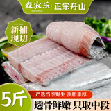 森农乐舟山带鱼段大号纯中段特大生鲜冷冻野生新鲜海鲜水产刀鱼去头去尾 3斤自食装【新捕现切中段】