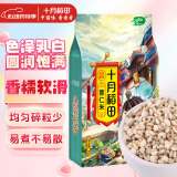 十月稻田 薏仁米 2斤 薏米仁 小粒薏米 五谷杂粮 粗粮 真空装 粥米伴侣
