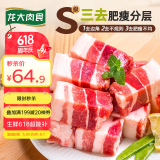 龙大肉食 猪五花肉块净重4斤 冷冻带皮五花肉猪五花烤肉 出口日本级