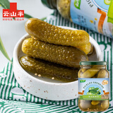 云山半0脂肪俄式酸黄瓜1斤 俄罗斯风味精选新鲜黄瓜半加工蔬菜下饭菜