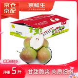 京鲜生 长城脆香梨 新梨七号 净重5斤 单果225g+ 生鲜水果礼盒