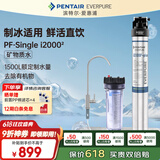 爱惠浦（Everpure）Insurice PF Single I20002净水器 无桶大流量-额定净水量1500L 矿物质水净水机