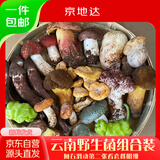 京地达云南新鲜野生菌菌菇组合净重500g鸡枞菌牛肝菌野生蘑菇源头直发