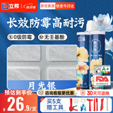 立邦美缝剂甄美缝十大品牌地砖瓷砖耐水防霉勾缝填缝美缝胶 月光银
