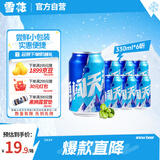 雪花啤酒（Snowbeer） 勇闯天涯 330ml*6听 尝鲜小包装