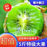 疆域采虹正宗陕西周至猕猴桃新鲜水果当季现摘绿心奇异果生鲜整箱 严选12枚大果装 单果约为90g+