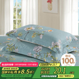艾薇枕头套枕套一对纯棉家用全棉单人枕套枕芯套 青馨花园 48*74cm
